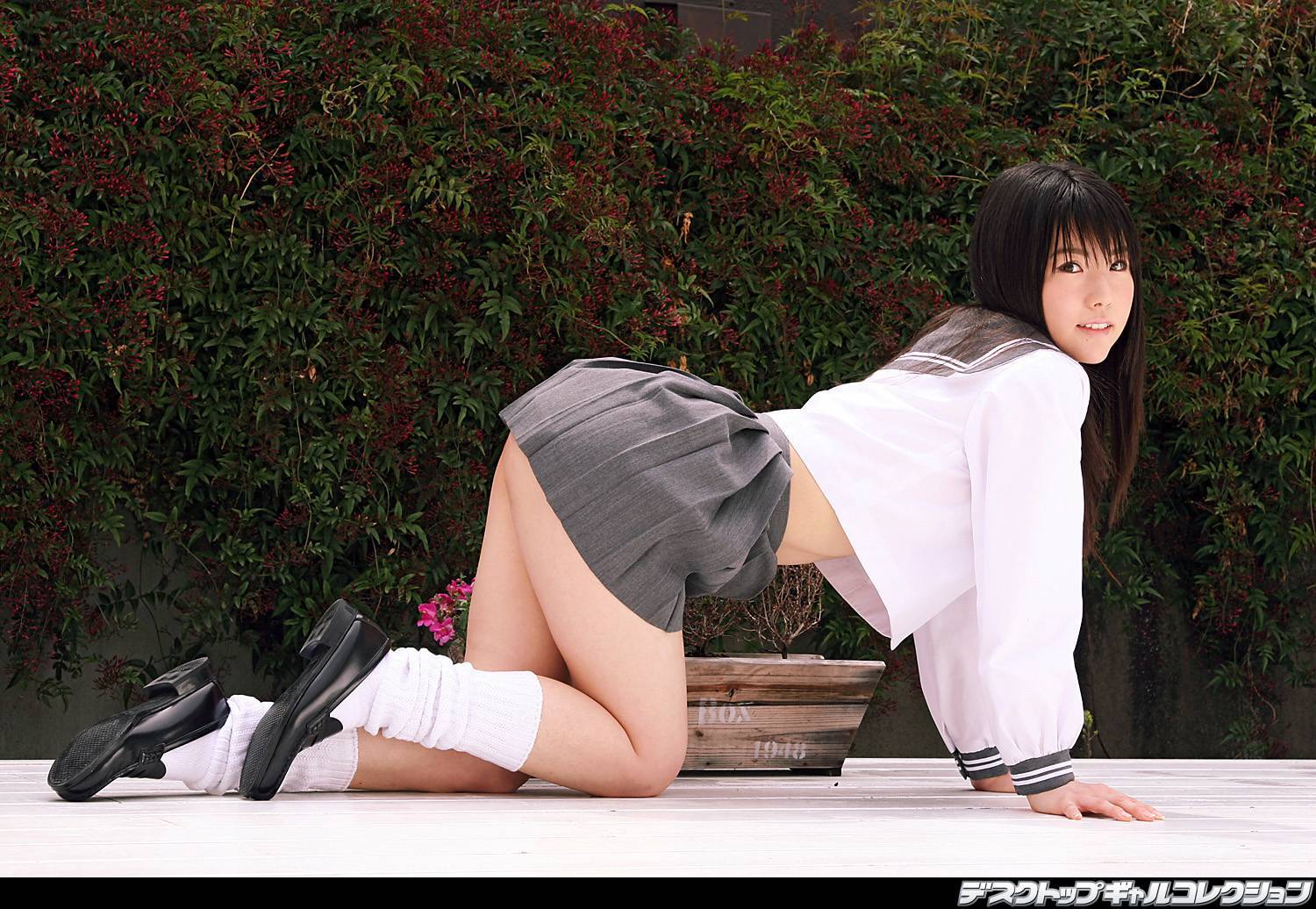 No446 若木萌 Moe Wakaki [dgc]